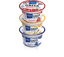 Yogurt Greek Single Serve